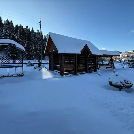 Wood House 펜션 Skhidnytsia