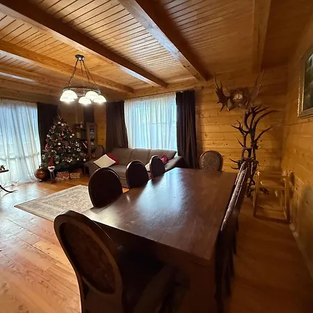 펜션 Wood House Skhidnytsia